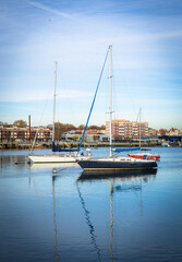 Fototapeta premium yachts in marina