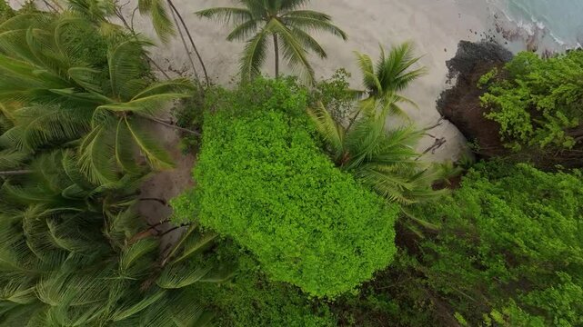Archipielago de Isla Secas