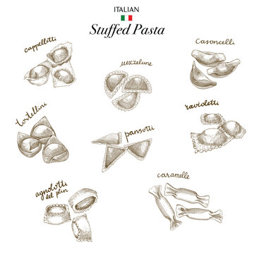 Hand drawn italian stuffed pasta .Vector illustration for menu, packaging design. Italian cuisine.