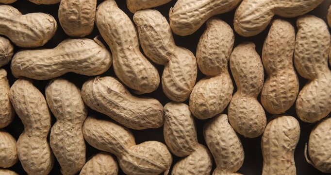 Peanuts with shells close up studio shot over rotating