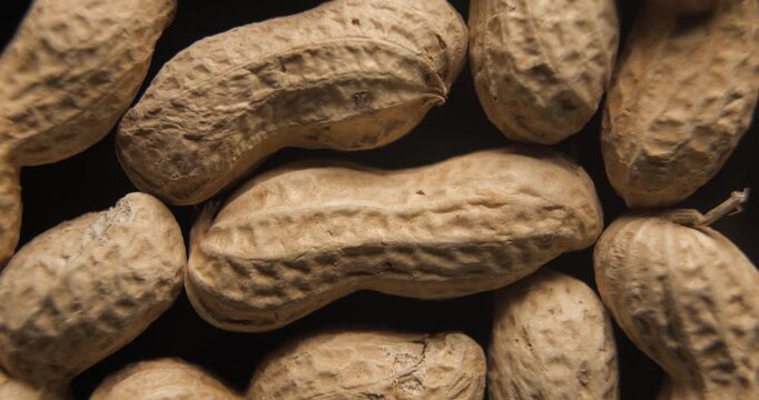 Peanuts with shells close up studio shot over rotating