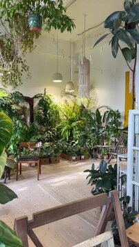 Relaxed reading space featuring hanging lamps and lush greenery