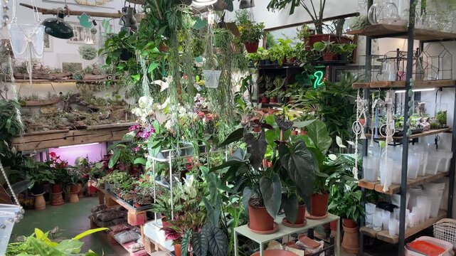 Small plant station. Efficient growing space with labeled trays and lights