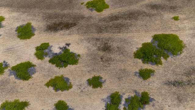 Aerial view of dry sandy terrain with scattered green bushes and shrubs under bright daylight in Badagry, Lagos, Nigeria.