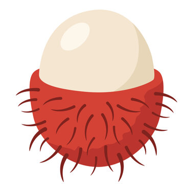 Red rambutan fruit peeled showing white flesh, tropical exotic food, vector illustration icon.