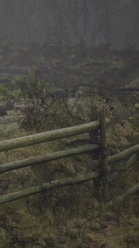 A wooden fence marks a boundary in a clearing. The area has signs of fire damage with burnt trees and dry brush visible throughout the landscape.