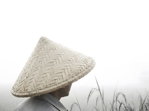 Back view of a traditional Asian rice farmer with conical caping hat in a misty field.