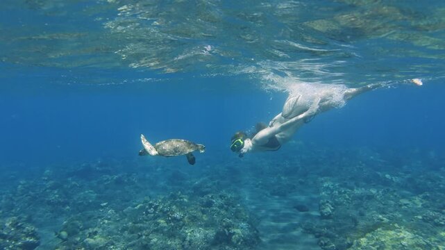 Woman snorkeling underwater with a sea turtle