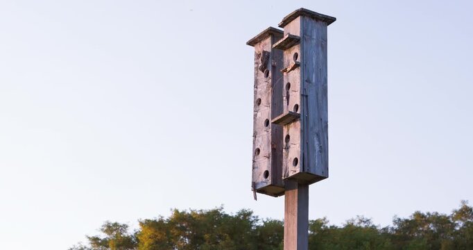 Large Bird house condominium in nature 4k