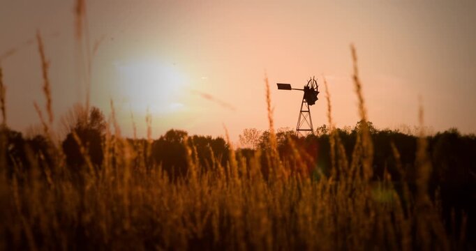 Windmill seen through wheat field 4k
