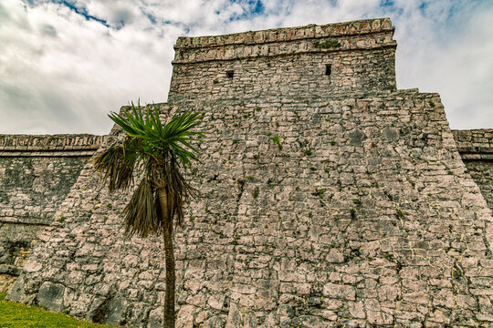 The rugged limestone wall of El Castillo pyramid rises steeply above a yucca plant at the clifftop Tulum Maya ruins, Quintana Roo, Mexico.