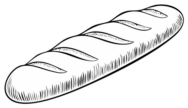 Hand drawn illustration of a long crusty loaf of bread with scoring marks in a simple sketch style