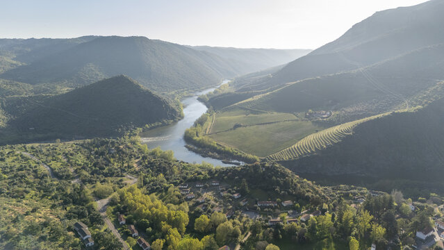 Aerial view of the Duero river winding through a lush valley with terraced vineyards and small houses near El Salto Viewpoint in Saucelle, Castile and Leon, Spain.