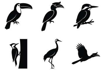 Fototapeta premium A set of six distinct bird silhouettes, including a toucan, hornbill, kingfisher, two woodpeckers on a trunk, a crane, and a flying hornbill, are depicted against a plain white background.
