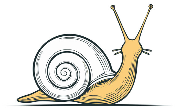 Stylized illustration of a snail in profile, showing a large spiral shell and antenna.