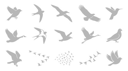 Fototapeta premium Set of various bird silhouettes in flight, including swallows, gulls, eagles, hummingbirds, geese, cranes, and pigeons, isolated on a white background, representing freedom and nature.