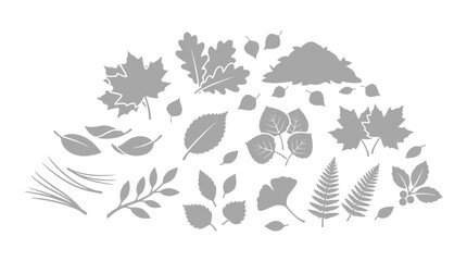 Obraz premium Collection of various gray leaf silhouettes on a white background, representing different tree and plant types.