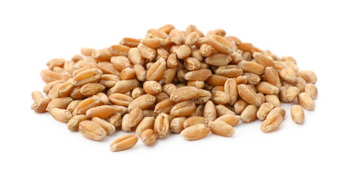 Heap of wheat grain isolated on white