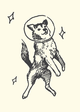 Whimsical illustration of a dog wearing a space helmet and floating in stars a sketch-like quality on a cream background astronaut universe illustration adventure exploration curiosity