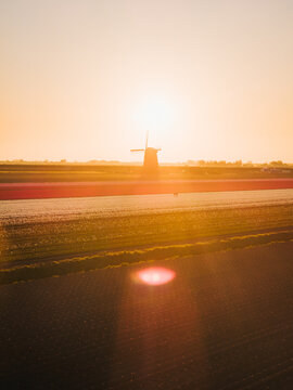 Aerial view of a traditional windmill silhouette standing amidst vibrant tulip fields under a warm golden sunset in Schermerhorn, North Holland, Netherlands.