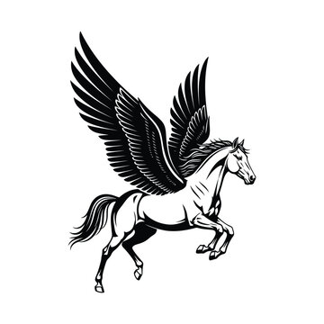 pegasus horse with wings black and white vector illustration isolated