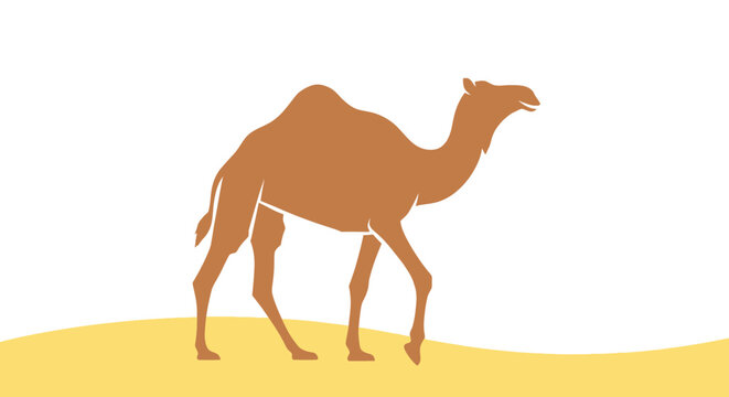 Brown Camel Walking on Sandy Dune.