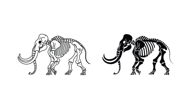 Mammoth skeleton side profile illustration showing prehistoric elephant anatomy in minimalist line art and solid black silhouette style for educational paleontology or museum exhibit design purposes
