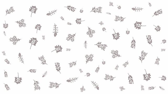 Delicate botanical flower pattern hand drawn organic line art background