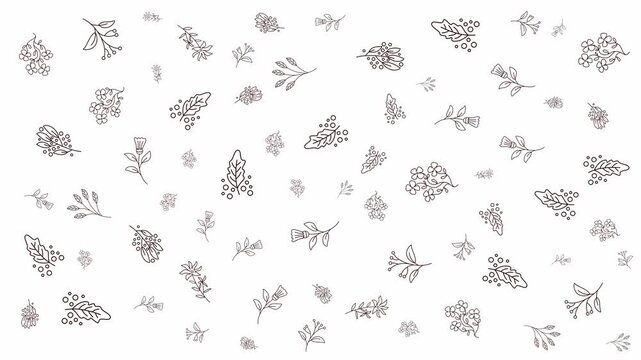 Wild meadow flower pattern hand drawn organic botanical line art