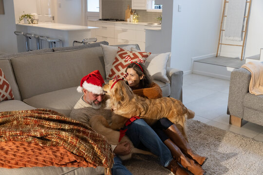 Senior man wearing Santa hat and daughter playing at home with golden retriever wearing harness