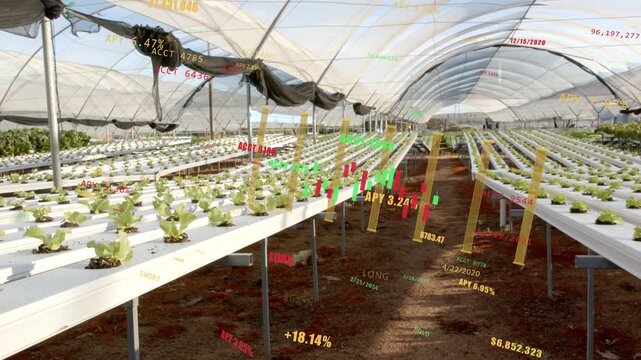 Camera advancing starting data overlays over grow troughs charts aligning visualizing market trends