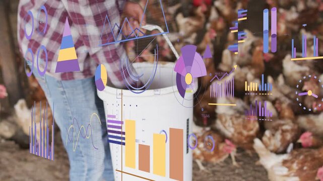 Farmer lowering bucket and scooping feed in poultry barn, feeding flock with animated overlays