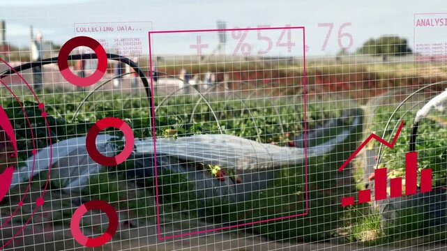 Grid and globe appearing, scan box scanning bed, markers forming, charts rising to show yield