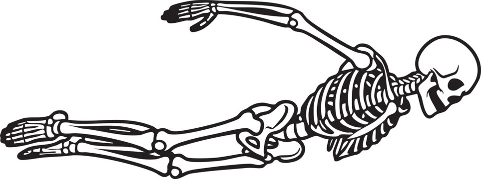Human skeleton figure depicted in a swimming or diving pose