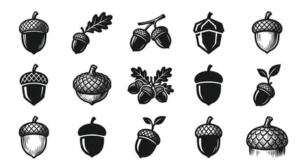 Collection of various acorn illustrations. © Azhaa