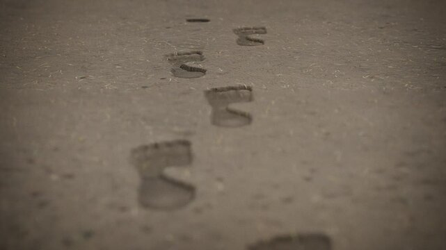 3d footsteps imprinted on a sandy beach ground texture, walking on sand, footprint