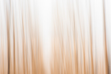 Fototapeta premium Abstract Motion Blur of Winter Poplar Forest