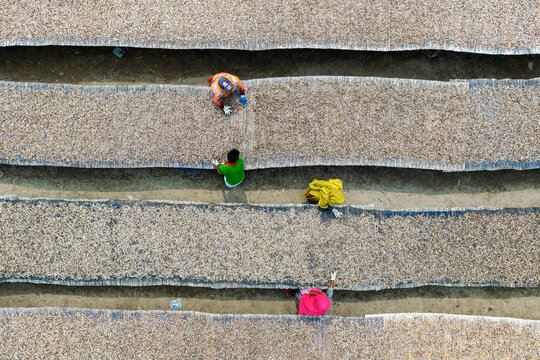 Cox's Bazar, Bangladesh - 11 March 2026: Aerial view of workers in colorful clothing tending to rows of small fish drying on mats in an outdoor processing area.