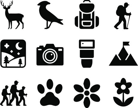 Photography and camera icons for nature shoots