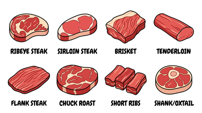 A detailed collection of various raw beef cuts including ribeye, sirloin, brisket, tenderloin, flank, chuck roast, short ribs, and shank shown as a labeled educational illustration.