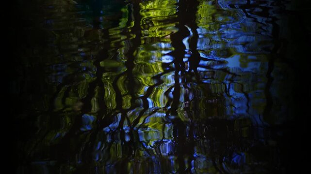 静かな森の奥で揺れる水面　差し込む光