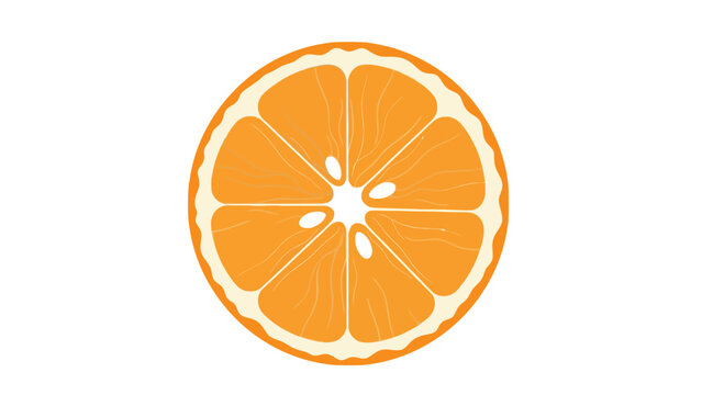 Slice of orange citrus fruit viewed from the top against a white background