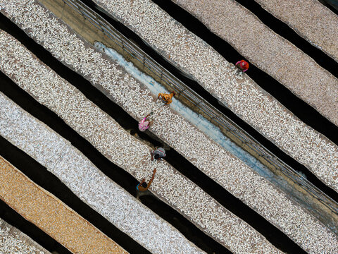 Cox's Bazar, Bangladesh - 11 March 2026: Aerial view of workers tending to rows of drying fish on bamboo racks in a traditional shutki yard.