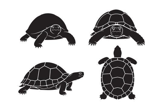 Four Different Styles Black And White Tortoise Vector Illustrations