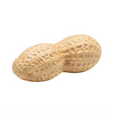 Single raw organic peanut in its shell isolated on black background