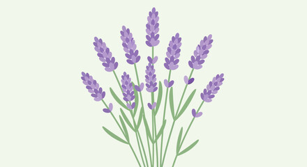 Fototapeta premium Illustration of lavender stalks with green leaves on a pale green background, representing nature and tranquility