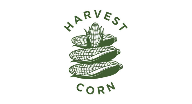 Harvest corn illustration logo design.