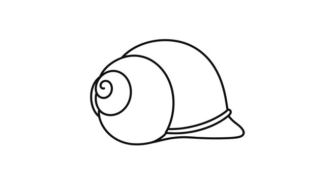 Simple Line Drawing of a Snail Shell