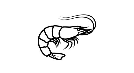 Fototapeta premium Simple Line Art Drawing of a Shrimp