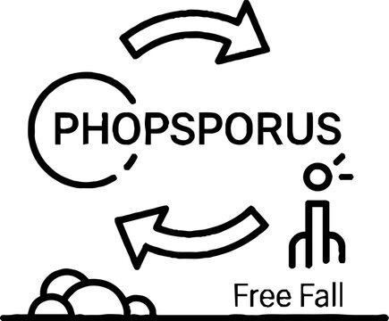 Phosphorus Cycle Process Diagram with Arrows and Figures